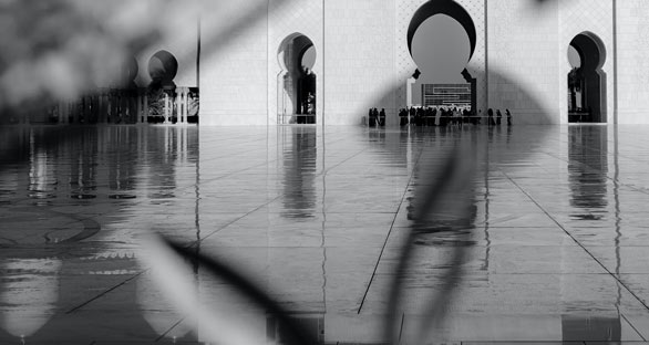 Mental Health & DBT in The Arab World and Where it’s Heading